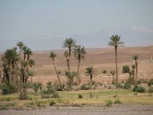 Marrakech - Atlas Mountains - Dades & Todra Gorges / Draa Valley - Chgaga Desert