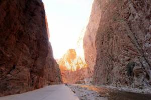 Day 2 : Rose Valley - dades & Todra Gorges - Desert