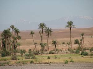 Day 1 : Marrakech - Ait Benhadou - Skoura