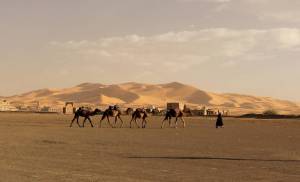 Day 3 : fès - Azrou - Midelt - Erfoud - Sahara desert (Hotel)